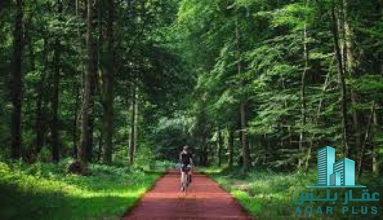 فلل فاخره  فى الشارقه بالتقسيط