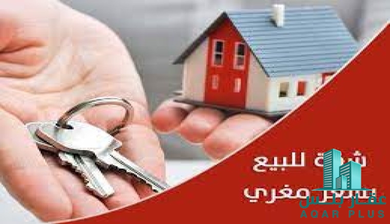 شقة  مميزة للبيع  دمياط