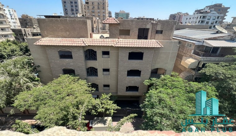 مصر الجديدة ش محمد محمود قاسم