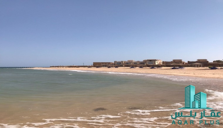 عقار بلس