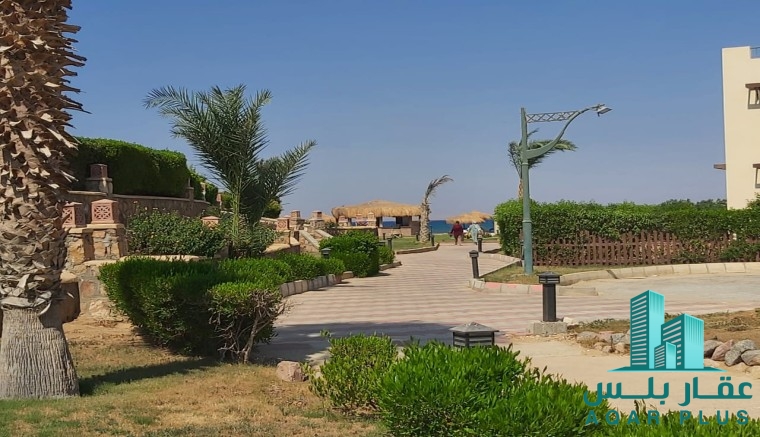 عقار بلس
