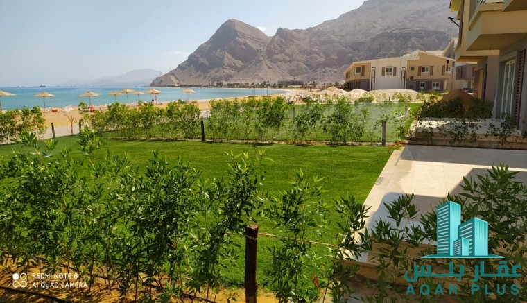 عقار بلس