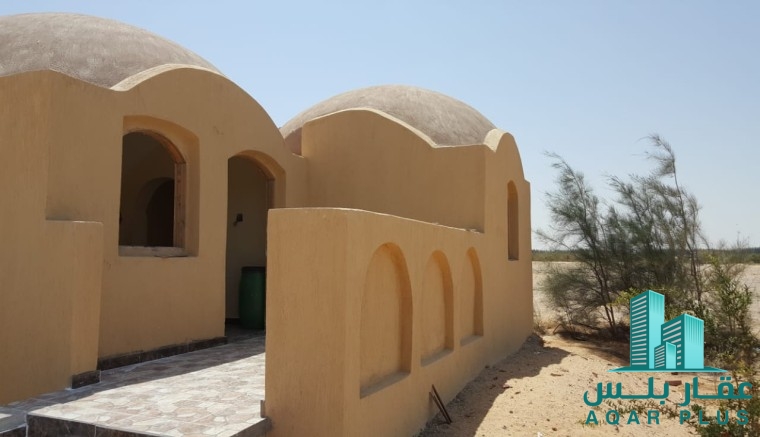 عقار بلس