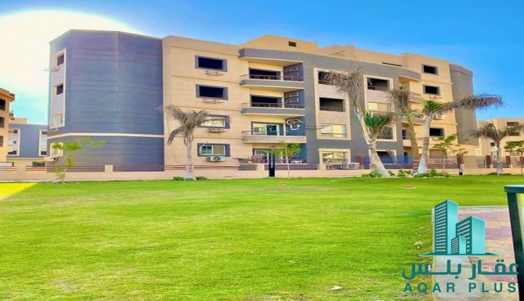 عقار بلس