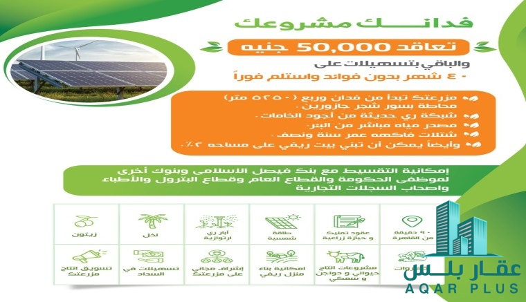 عقار بلس