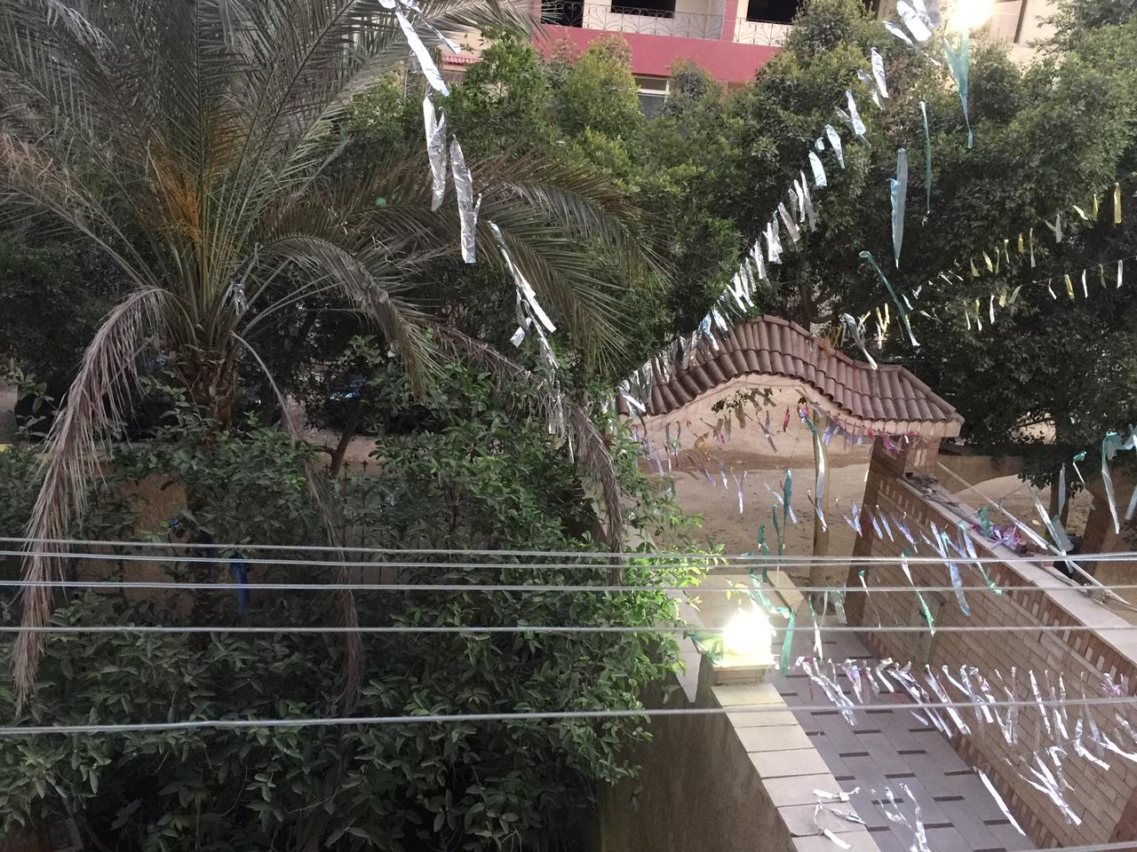 عقار بلس