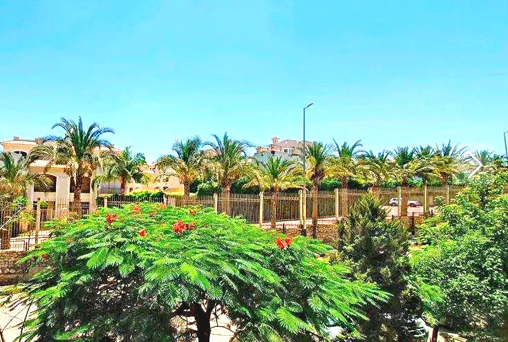 عقار بلس