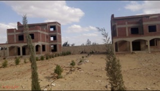 عقار بلس