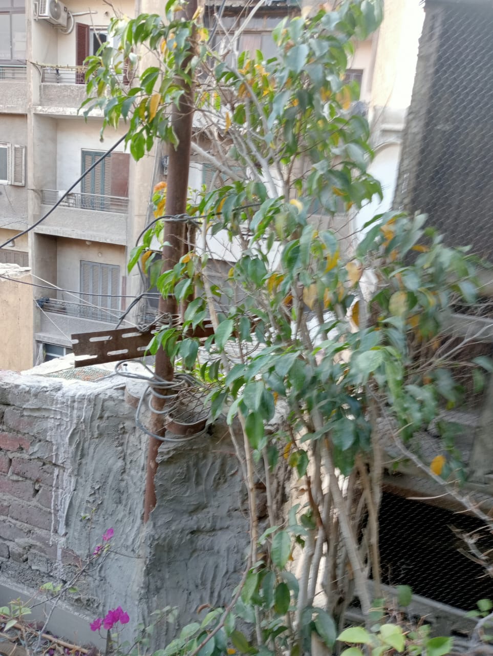 بيت للبيع في الدقي خمس ادوار ومحل