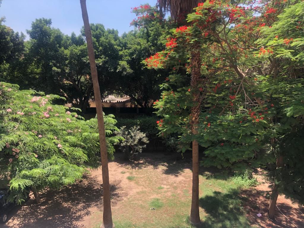 ارض بمساحة كبيرة بالزمالك مبني عليها فيلا