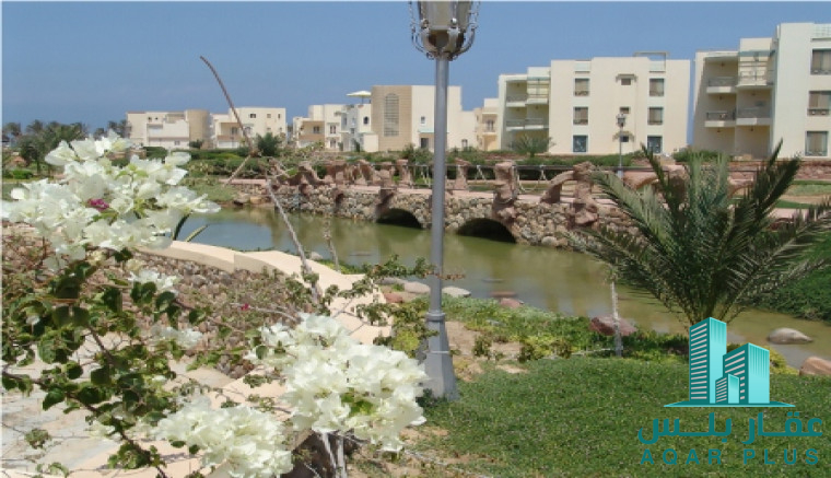 عقار بلس