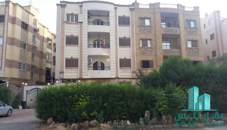 عقار بلس