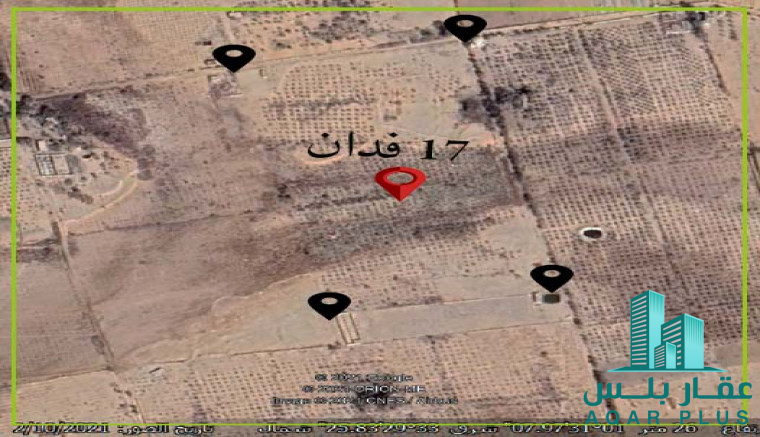 مزرعه 17 فدان الفيوم - طاميه
