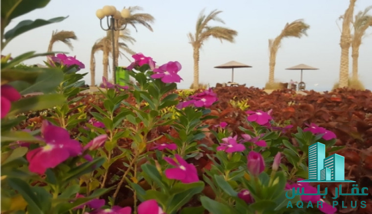 استلم شاليهك فى ماليبو