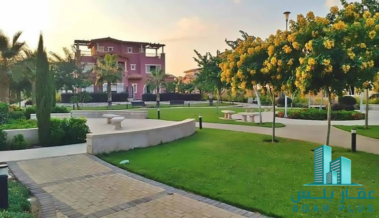 عقار بلس