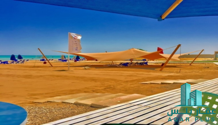 عقار بلس