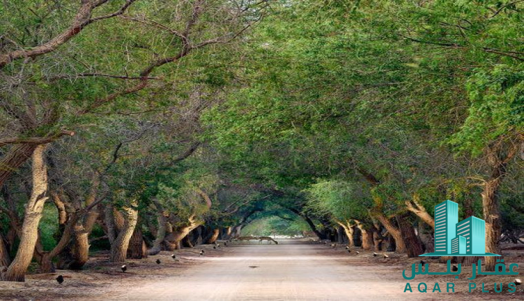 فلل لبيع علي اجمل سواحل ابوظبي