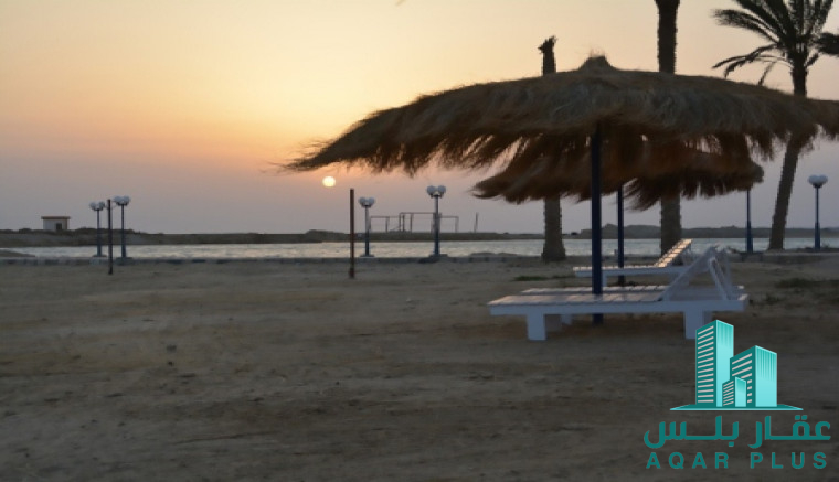 عقار بلس