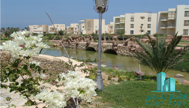 عقار بلس