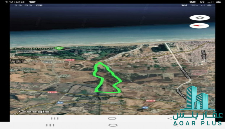 كابو نيغرو الرأس الأسود 