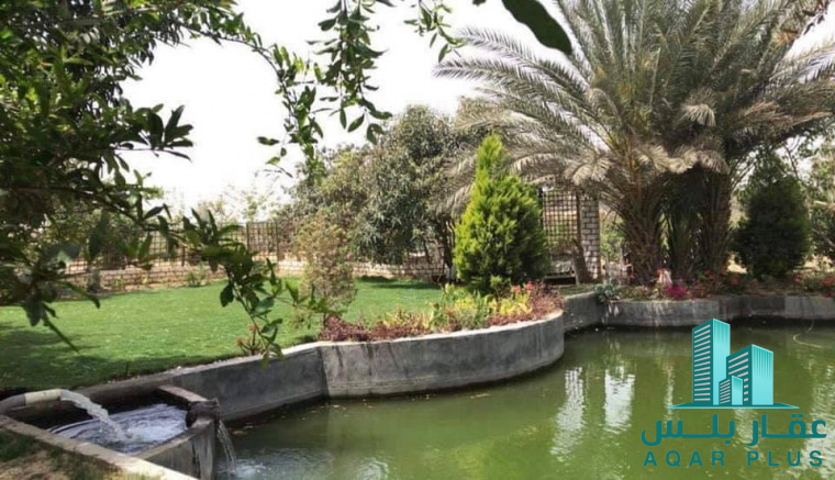 مرزعة للبيع بالطريق الصحراوى 