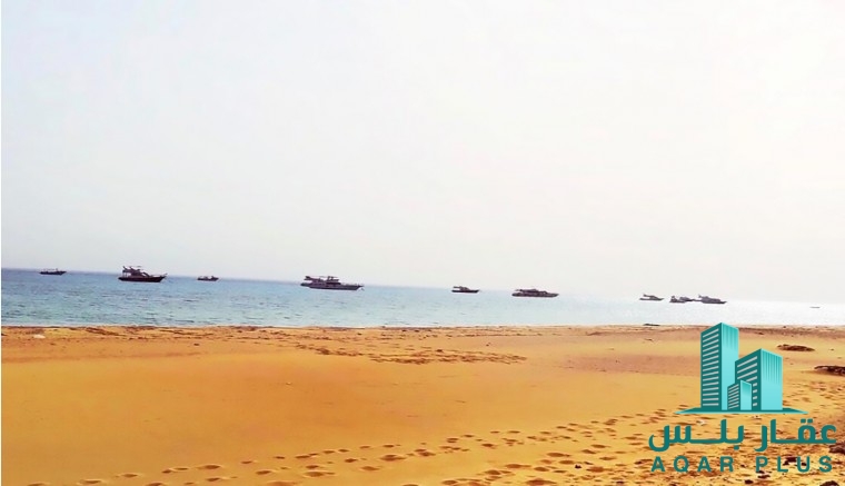 عقار بلس