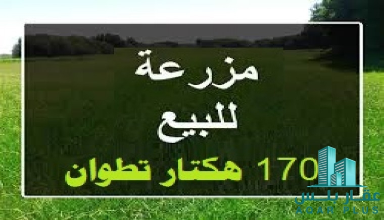 مزرعة 170 هكتار  للبيع تطوان